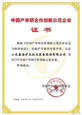 山東鑫海礦業(yè)優(yōu)勢