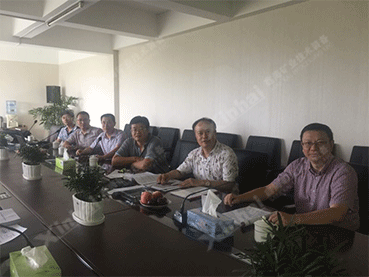 伊朗300tpd金礦浮選項目洽談