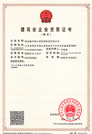 山東鑫海礦業(yè)優(yōu)勢